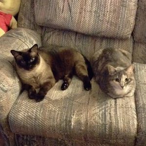 Meet your Posher, Margaret